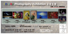 (P+R)Photography Exhibition 2018